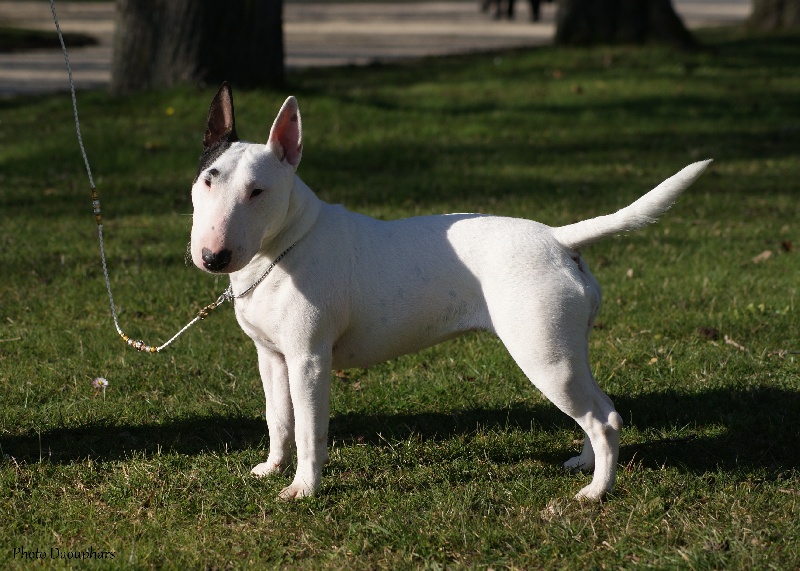 Hey sexy lady de L'ordre des Jedi